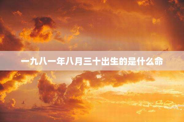 一九八一年八月三十出生的是什么命