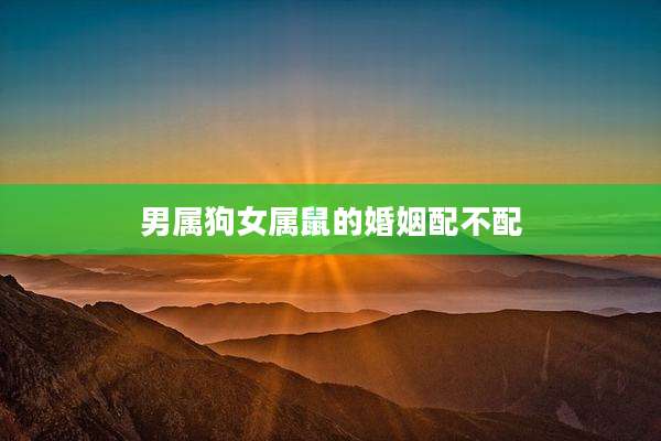 男属狗女属鼠的婚姻配不配