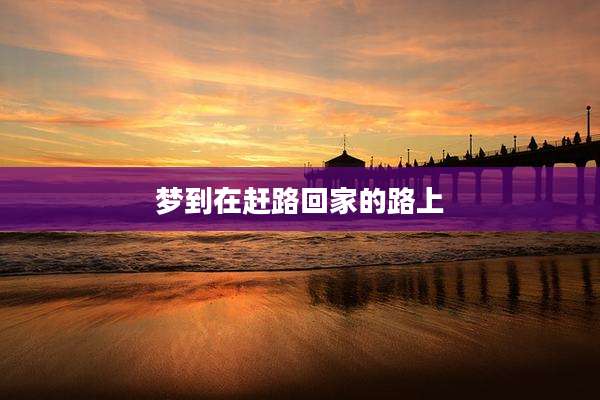 梦到在赶路回家的路上