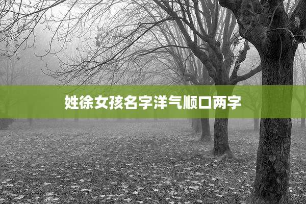 姓徐女孩名字洋气顺口两字
