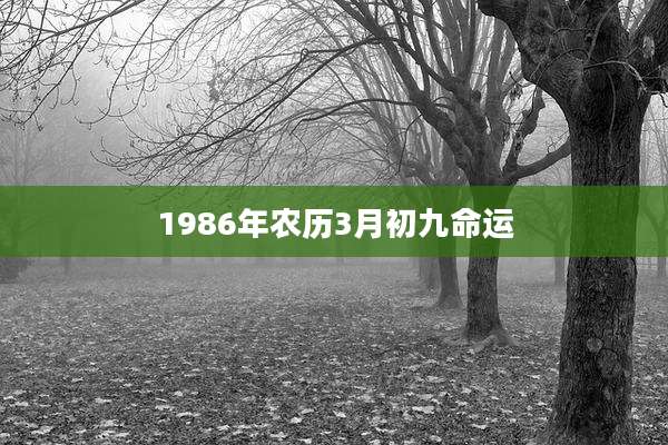1986年农历3月初九命运
