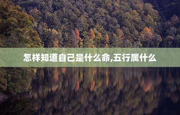 怎样知道自己是什么命,五行属什么