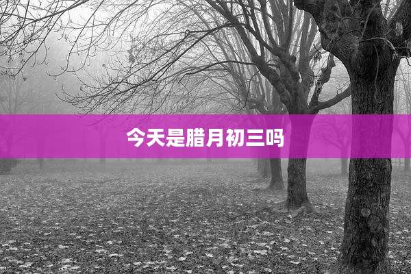 今天是腊月初三吗