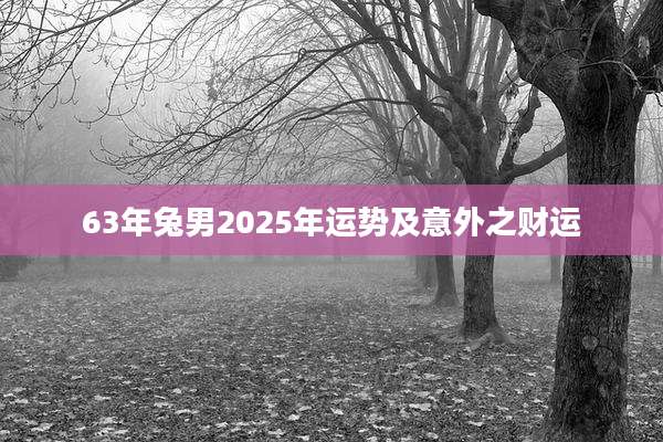 63年兔男2025年运势及意外之财运