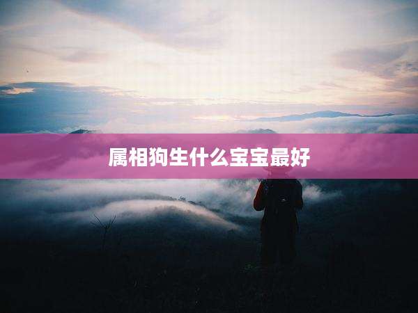 属相狗生什么宝宝最好