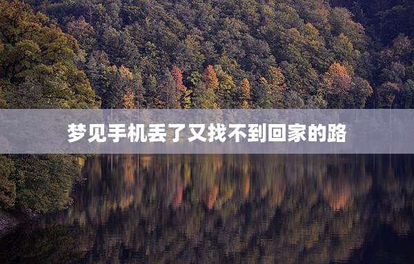 梦见手机丢了又找不到回家的路