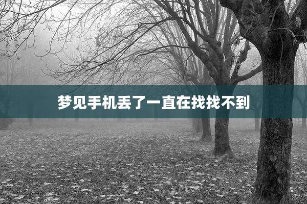 梦见手机丢了一直在找找不到