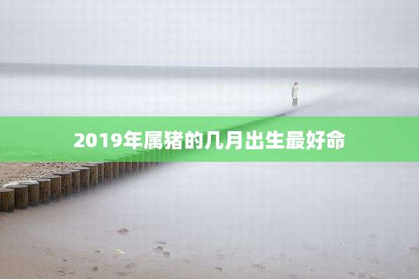 2019年属猪的几月出生最好命