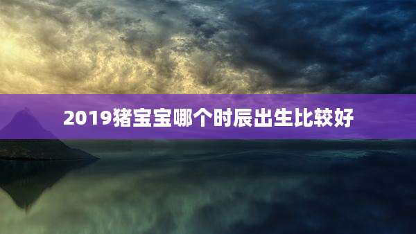 2019猪宝宝哪个时辰出生比较好