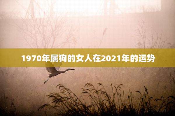 1970年属狗的女人在2021年的运势