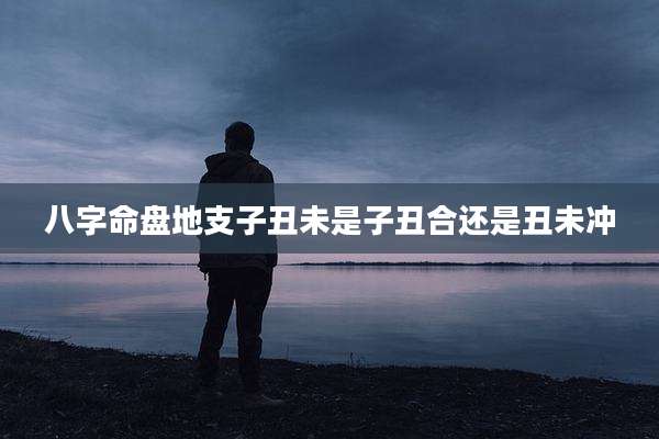 八字命盘地支子丑未是子丑合还是丑未冲
