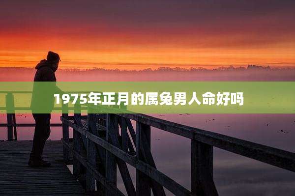 1975年正月的属兔男人命好吗