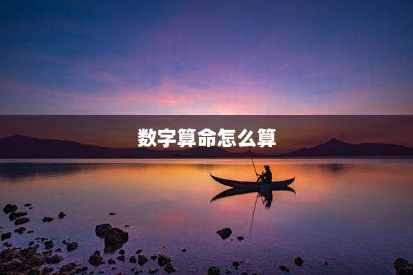 数字算命怎么算