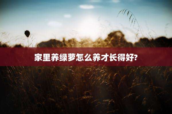 家里养绿萝怎么养才长得好?
