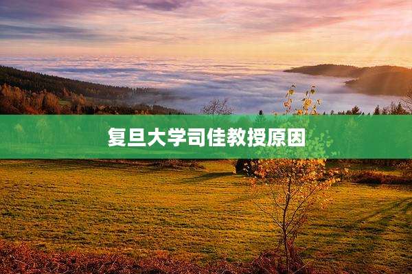 复旦大学司佳教授原因