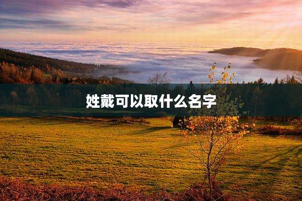 姓戴可以取什么名字
