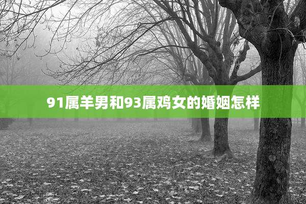 91属羊男和93属鸡女的婚姻怎样