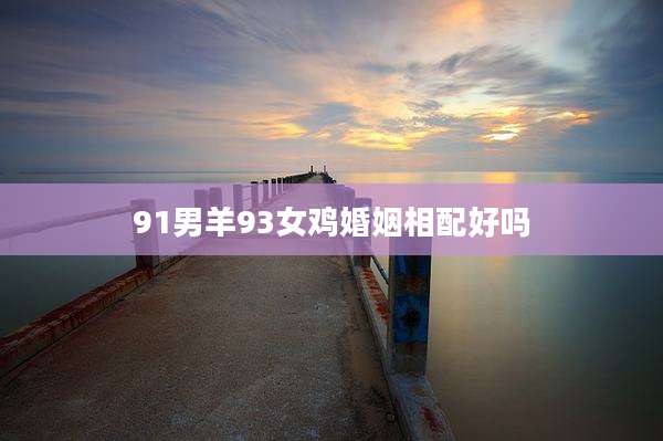 91男羊93女鸡婚姻相配好吗