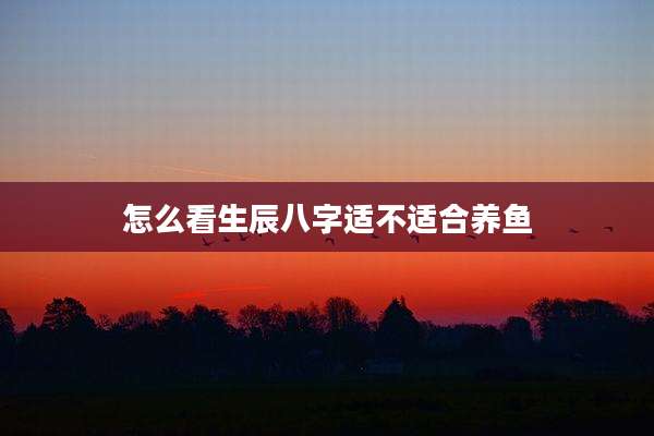 怎么看生辰八字适不适合养鱼