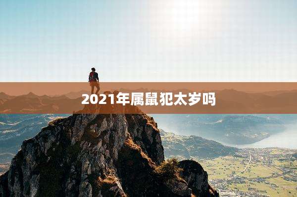 2021年属鼠犯太岁吗