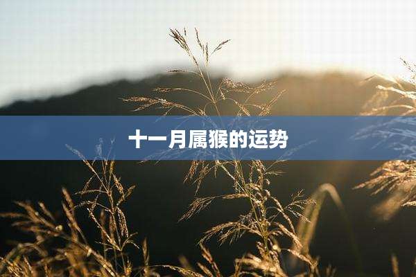 十一月属猴的运势