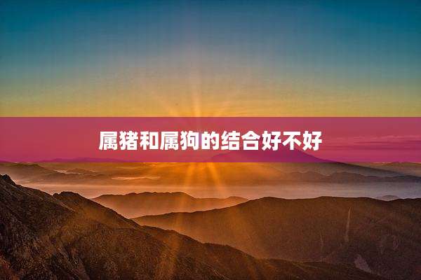 属猪和属狗的结合好不好