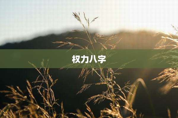 权力八字