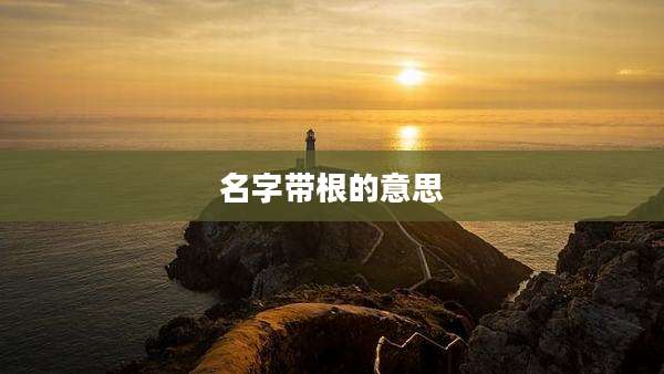 名字带根的意思