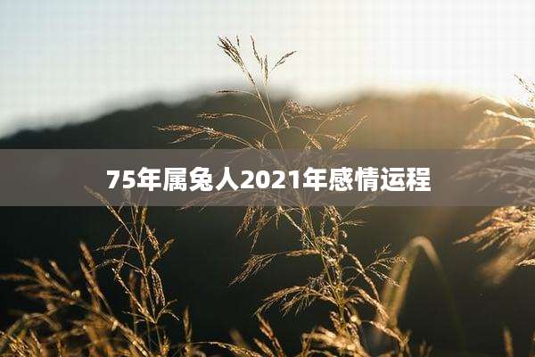 75年属兔人2021年感情运程
