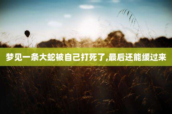 梦见一条大蛇被自己打死了,最后还能缓过来