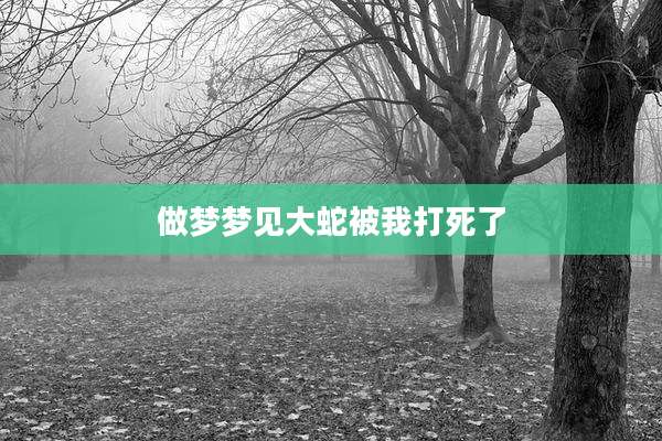 做梦梦见大蛇被我打死了