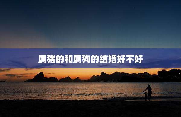 属猪的和属狗的结婚好不好
