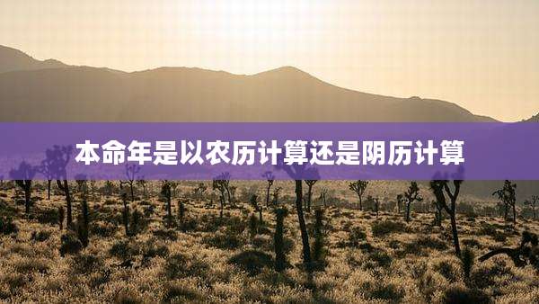 本命年是以农历计算还是阴历计算
