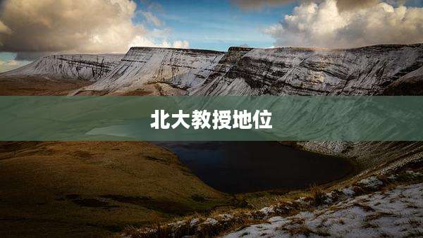 北大教授地位