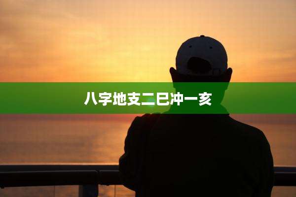 八字地支二巳冲一亥