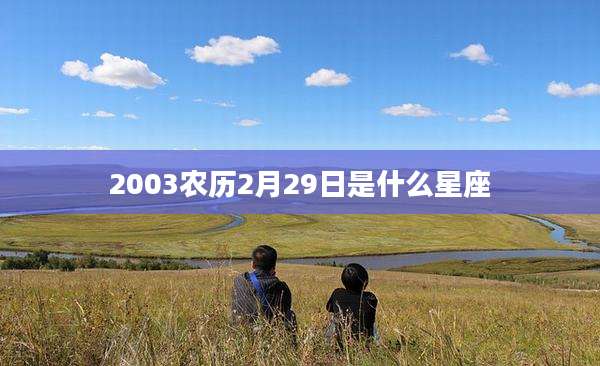 2003农历2月29日是什么星座
