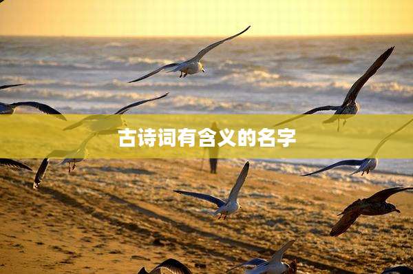 古诗词有含义的名字