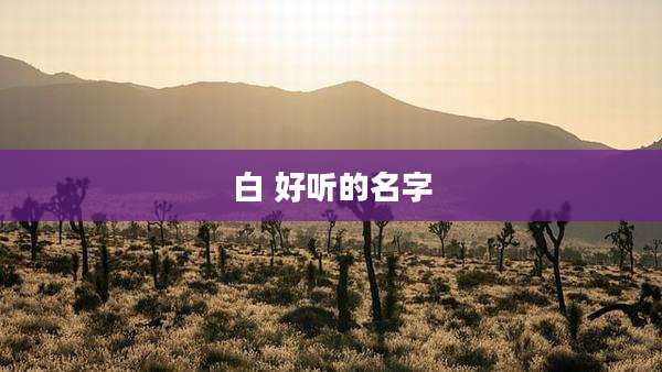 白 好听的名字