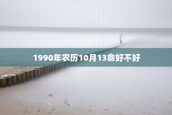 1990年农历10月13命好不好