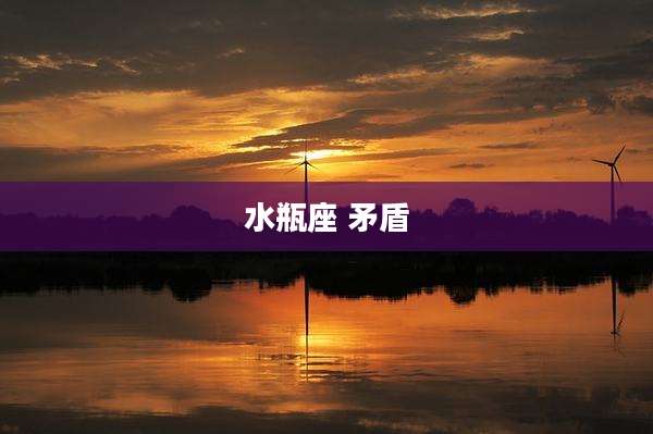 水瓶座 矛盾