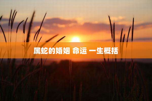 属蛇的婚姻 命运 一生概括