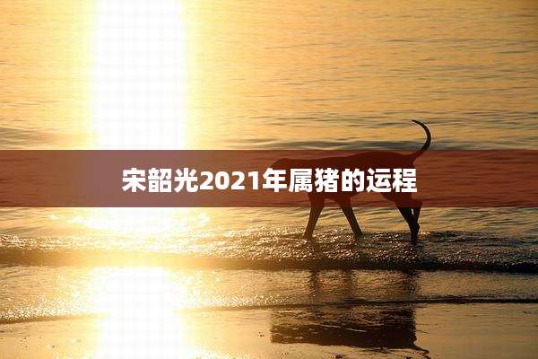 宋韶光2021年属猪的运程
