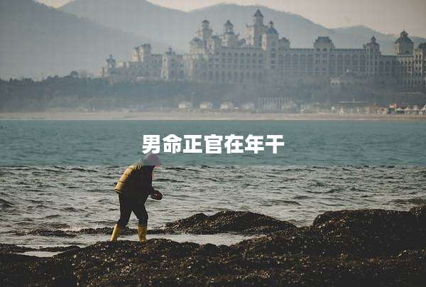 男命正官在年干