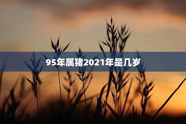 95年属猪2021年是几岁