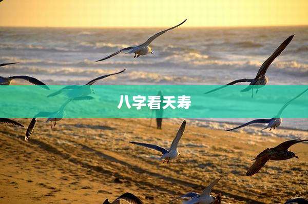 八字看夭寿