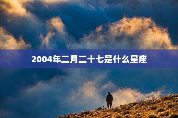 2004年二月二十七是什么星座