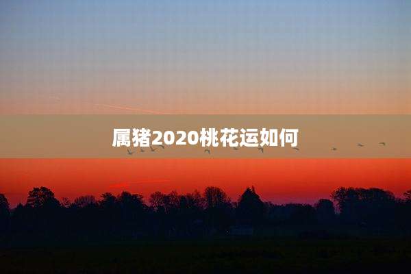 属猪2020桃花运如何