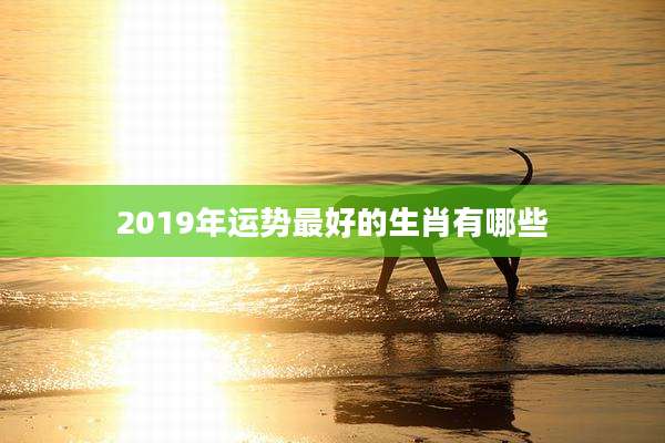 2019年运势最好的生肖有哪些