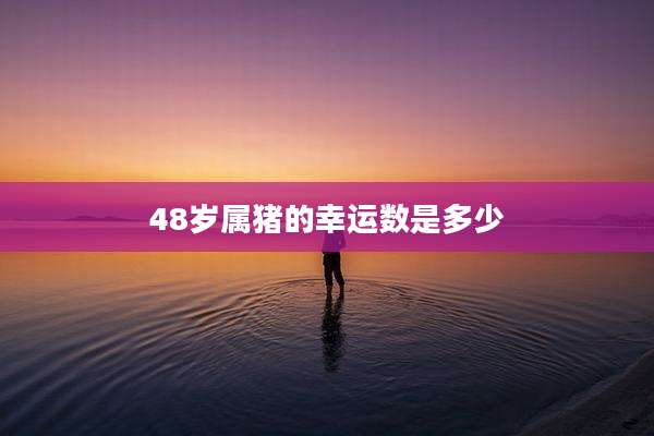48岁属猪的幸运数是多少