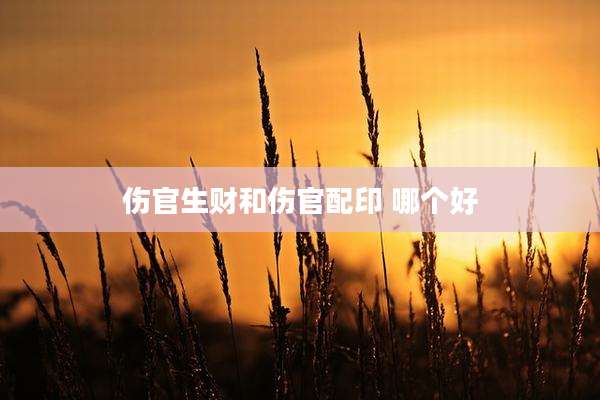 伤官生财和伤官配印 哪个好